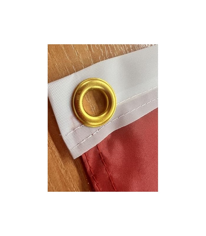 Bandera de Noviembre Nacional 90x150 cm