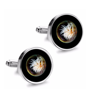 Gemelos de Camisa Magglass Fondo Marino Nº24 16mm