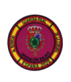 Parche Hook and Loop Operacion Balmis 2020 Guardia Real 8cm