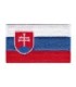Parche Termoadhesivo Bandera de Eslovaquia 6cm