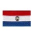Parche Termoadhesivo Bandera de Paraguay 6cm