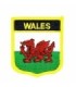 Parche Termoadhesivo Bandera escudo Gales 7x6 cm