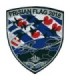 Parche Termoadhesivo Frisian Flag 2018 9cm