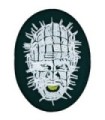 Parche Termoadhesivo Hell Raiser 9cm