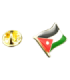 Pin de Solapa Bandera Mastil Palestina 16x15mm