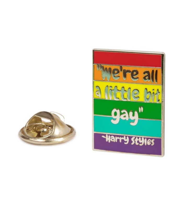Pin we re all a little bit gay frase de Harry Styles- 30x20mm - Pin del orgullo gay