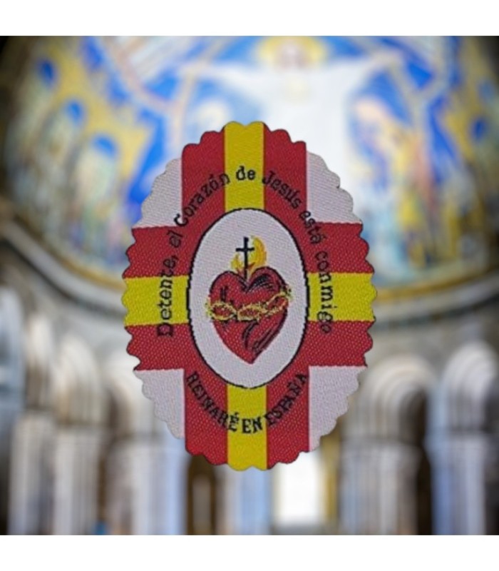 Pack 5 Parches Termoadhesivo Detente de Bala Carlista 5,5x4cm