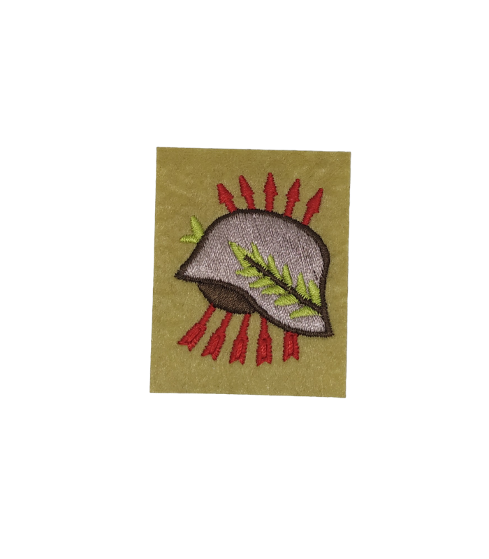 Parche Bordado Militar Ex-Combatiente 5x4cm Recreación Histórica-Réplica Militar