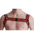 MACHO - ARNES ROJO