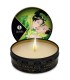 SHUNGA - MINI CARESS BY CANDELIGHT VELA MASAJE TÉ VERDE 30 ML