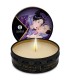 SHUNGA - MINI CARESS BY CANDELIGHT VELA MASAJE FRUTAS EXOTICAS 30 ML
