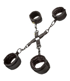 CALEXOTICS - BOUNDLESS HOG TIE