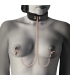 COQUETTE CHIC DESIRE - FANTASY COLLAR CON PINZAS PEZONES CON FORRO DE NEOPRENO
