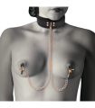 COQUETTE CHIC DESIRE - FANTASY COLLAR CON PINZAS PEZONES CON FORRO DE NEOPRENO
