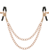 COQUETTE CHIC DESIRE - FANTASY PINZAS METALICAS PEZONES CON CADENA