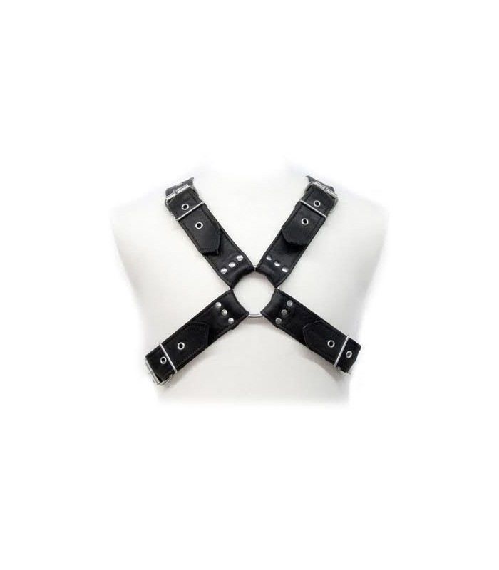 LEATHER BODY - BUCKLES HARNESS