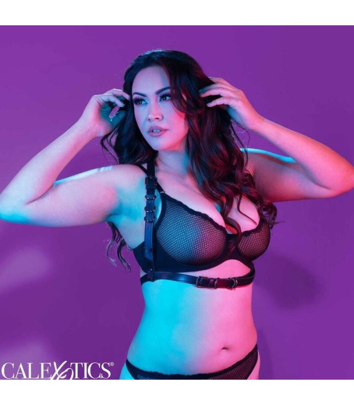 CALEXOTICS - EUPHORIA ARNÉS HATLER CON HEBILLA TALLA GRANDE NEGRO