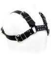 LEATHER BODY - BLACK BULL DOG HARNESS