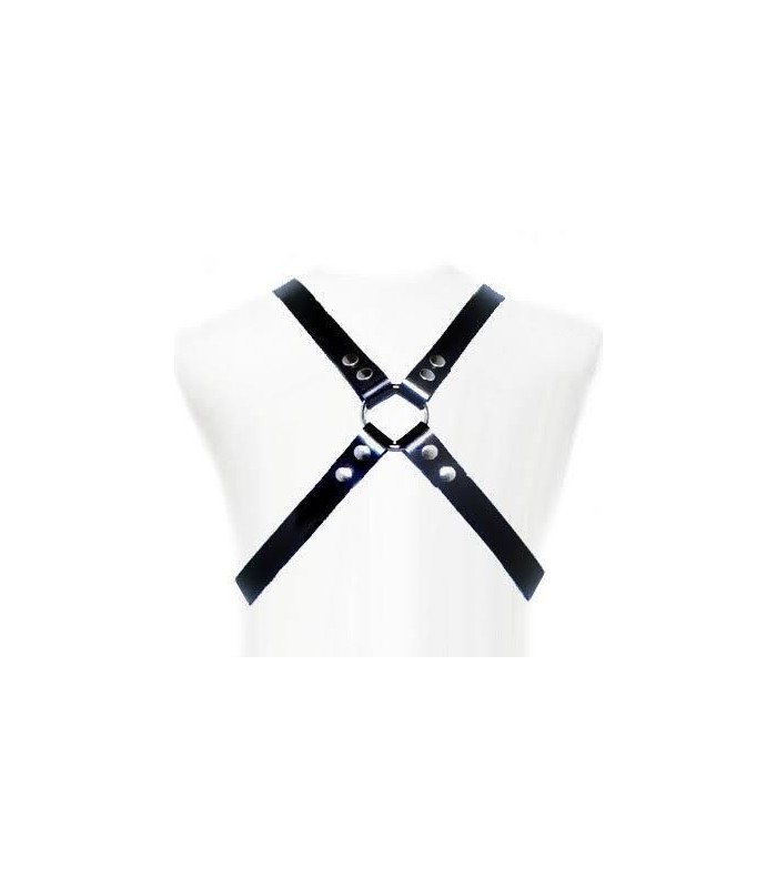 LEATHER BODY - BASIC HARNESS