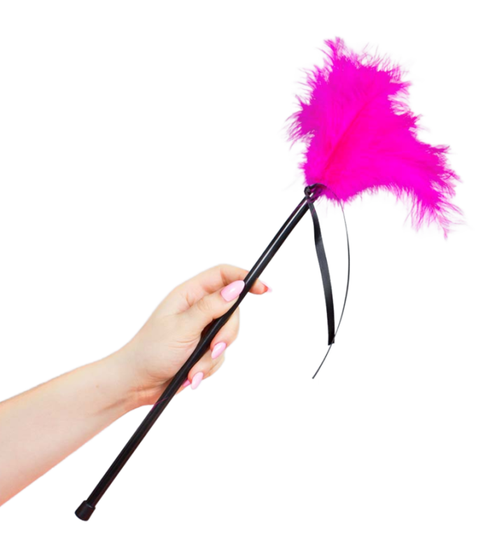 SECRETPLAY - PLUMERO PLUMAS ROSA 40 CM