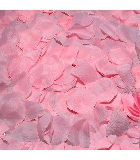 DIABLO PICANTE - 100 PÉTALOS ROSA