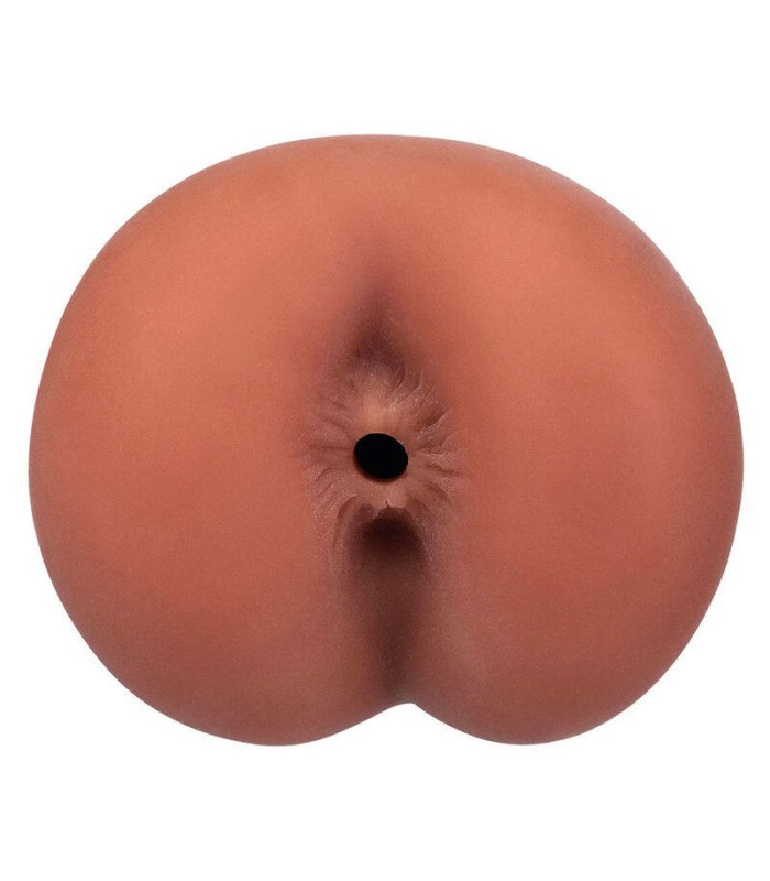 CALEXOTICS - BOUNDLESS ANO MULATO