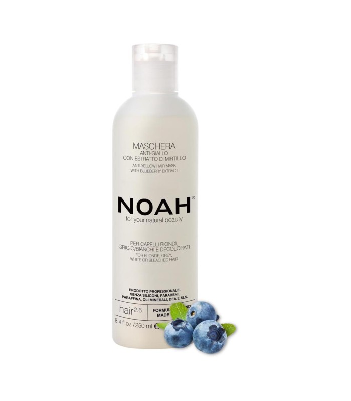 NOAH ARANDANOS ANTI-AMARILLO MASCARILLA CAPILAR 250ML