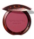 GUERLAIN TERRACOTTA COLORETE POLVOS COMPACTOS 04 ROSE FONCE 1UN