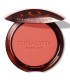 GUERLAIN TERRACOTTA COLORETE POLVOS COMPACTOS 05 CORAIL FONCE 1UN