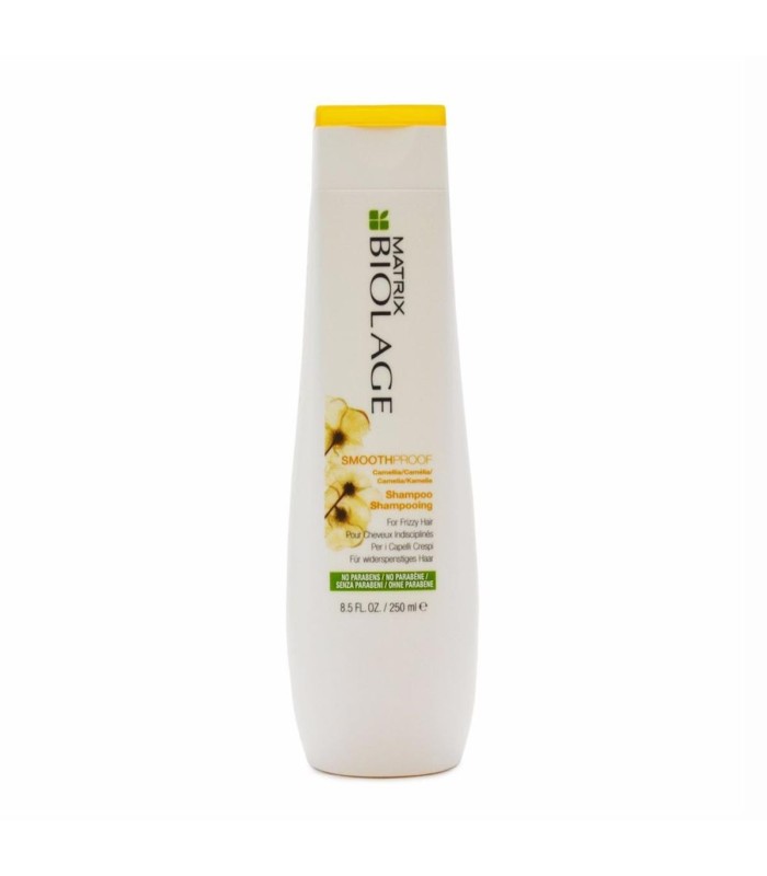 MATRIX BIOLAGE SMOOTHPROOF FRIZZY HAIR CHAMPU 250ML