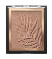 WETN WILD COLORICON POLVOS BRONCEADORES PALM BEACH READY 1UN