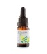 TASSEL ARBOL DE TE ACEITE ESENCIAL 15ML