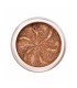 LILY LOLO BRONZE SPARKLE SOMBRA DE OJOS 2.5GR