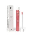 COULEUR CARAMEL GLOSS BRILLO DE LABIOS Nº818 BABY RECARGA 1UN