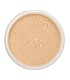 LILY LOLO MINERAL BASE EN POLVOS SPF15 WARM HONEY MINI 1UN