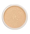 LILY LOLO MINERAL BASE EN POLVOS SPF15 WARM HONEY MINI 1UN
