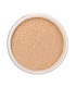 LILY LOLO MINERAL BASE EN POLVOS SPF15 POPSICLE MINI 1UN