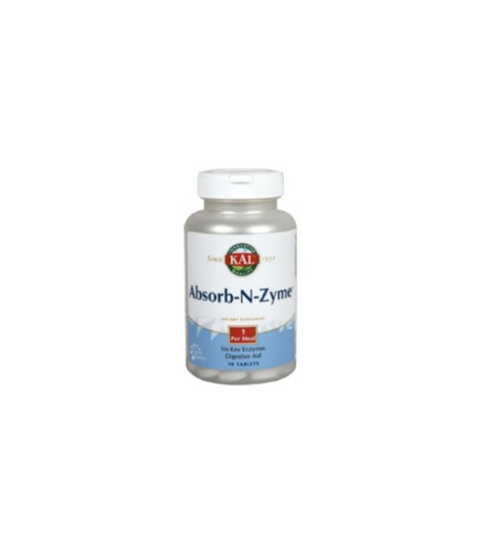 ABSORB-N-ZYME 90cap.