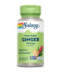 GINGER  100vcap.