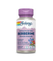 BERBERINE 60caps.