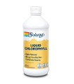 CHLOROPHYLL liquida 480ml.