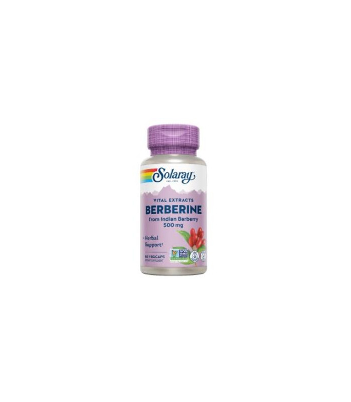 SUPER BERBERINE 500mg 60vcaps.