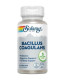BACILLUS COAGULANS 60cap.veg