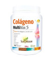 COLAGENO MULTIMAX 5 330gr.