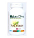 HOJA DE OLIVO 60cap.