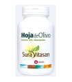 HOJA DE OLIVO 60cap.