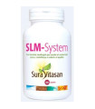 SLM-system 60cap.