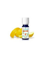 CLAVO aceite esencial 5ml. BIO