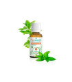 MENTA PIPERITA aceite esencial 10ml. BIO