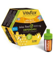 VITAFLOR DEFENSAS ECHINACEA 20viales